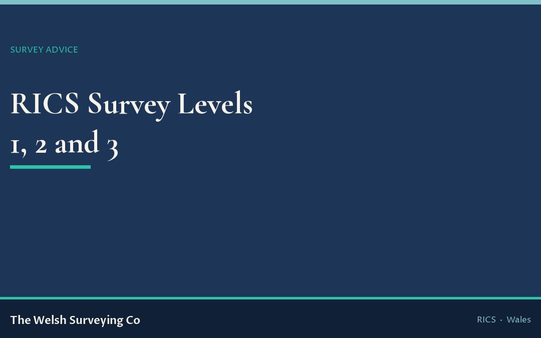 RICS Home Survey Levels 1, 2 and 3: which do you need?